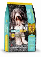 I20 Nutram "Ideal Sensitive Dog - Skin, Coat & Stomach" с ягненком и коричневым рисом