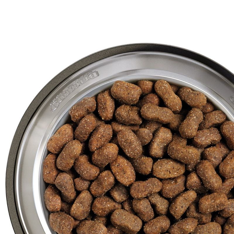 Belcando Adult Lamb & Rice сухой корм для собак Гипоаллергенный для  нормального уровня активности, ягненок и рис - интернет-магазин «Pet Team»