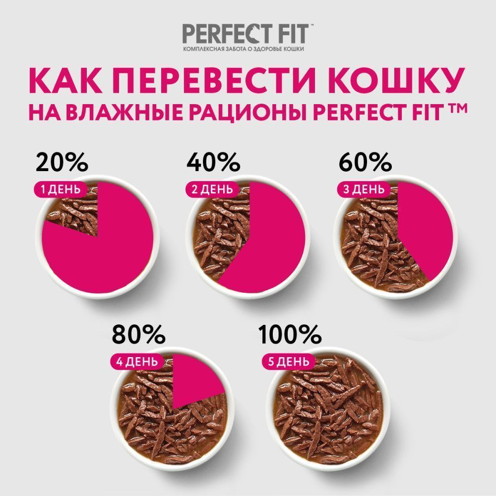 Влажный корм для кошек PERFECT FIT для поддержания здоровья почек, с  лососем в соусе, пауч - интернет-магазин «Pet Team»