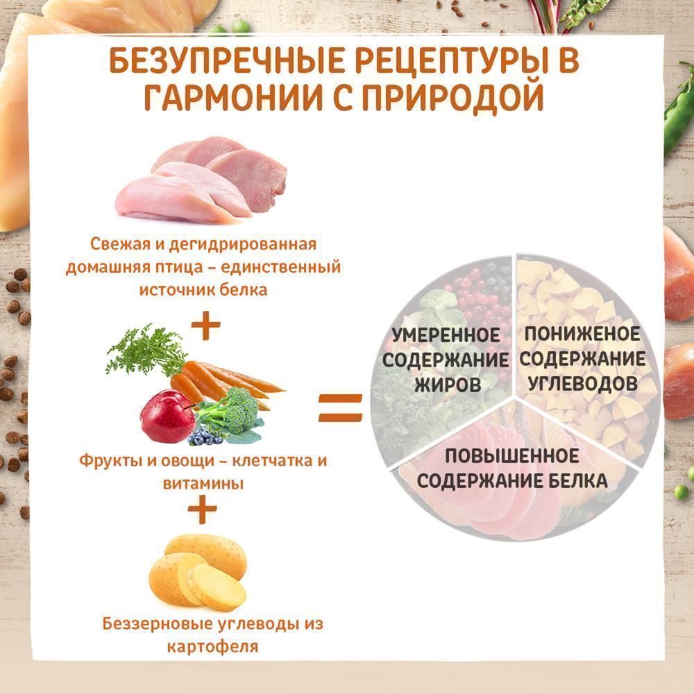 Сухой корм для стерилизованных кошек и кастрированных котов Core Grain Free  Sterilised из курицы с индейкой - интернет-магазин «Pet Team»