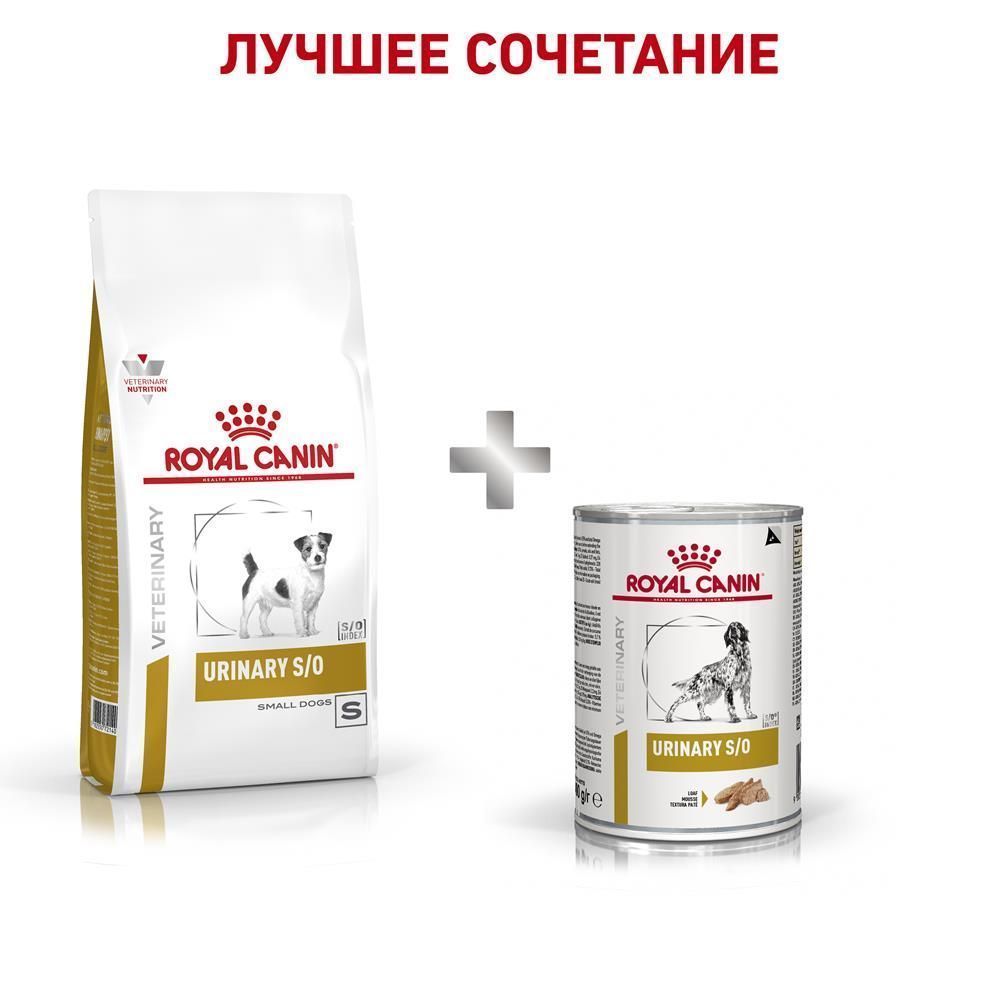 Royal canin small cheap dog urinary