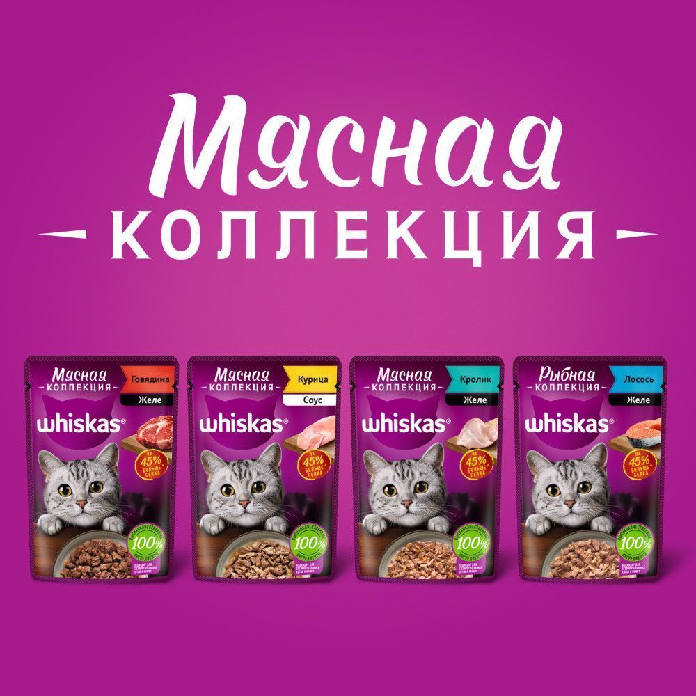 Влажный корм для взрослых кошек WHISKAS Рыбная коллекция, с лососем, пауч -  интернет-магазин «Pet Team»