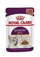 Влажный корм для взрослых кошек от 1 года до 7 лет Royal Canin, стимулирующий вкусовые рецепторы, кусочки в соусе