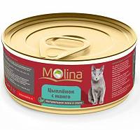 Консервы для кошек Molina, со вкусом цыпленка с манго в соусе