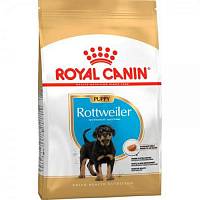 Royal Canin Rottweiler Junior 31 сухой корм для щенков ротвейлера от 2 до 18 мес