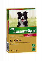 Капли от блох для средних собак от 10 до 25 Bayer GL Адвантейдж, 4 пипетки