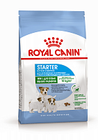 Royal Canin Mini Starter сухой корм для щенков малых пород до 2х месяцев и беременных или кормящих сук