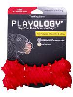Игрушка для щенков Playology дентальная хрустящая жевательная косточка PUPPY TEETHING BONE с ароматом говядины, красный