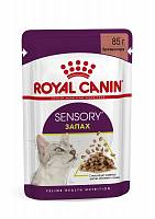 Влажный корм для взрослых кошек от 1 года до 7 лет Royal Canin, стимулирующий обонятельные рецепторы, кусочки в соусе