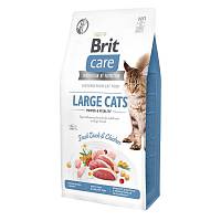 Сухой корм для взрослых кошек крупных пород Brit Care Cat GF Large cats Power & Vitality