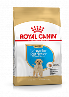 Royal Canin Labrador Retriever Junior 33 сухой корм для щенков лабрадора до 15 мес