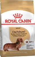 Royal Canin Dachshund Adult сухой корм для взрослых такс с 10 месяцев