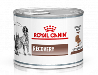 Royal Canin VD Recovery Canin/Feline консервы для собак и кошек в период анорексии, выздоровления, при липидозе печени