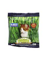 Травка для кошек АВЗ, смесь семян злаковых трав, 30 г/пак.