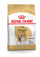 Royal Canin Beagle Adult сухой корм для взрослых и стареющих собак породы бигль с 12 мес