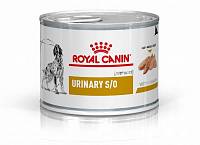 Royal Сanin Urinary S/O Canine консервы для собак при мочекаменной болезни