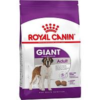 Royal Canin Giant Adult сухой корм для собак старше 18/24 месяцев