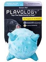 Игрушка для щенков Playology сенсорный плюшевый мяч PUPPY SENSORY BALL 15 см с ароматом арахиса, голубой