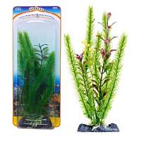 Растение для аквариума PENN-PLAX CLUB MOSS-BLOOMING LUDWIGIA композиция, 20 см