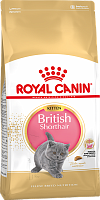 Royal Canin Kitten British Shorthair для котят породы британская короткошерстная