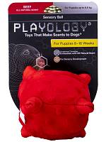 Игрушка для щенков Playology сенсорный плюшевый мяч PUPPY SENSORY BALL 15 см с ароматом говядины, красный