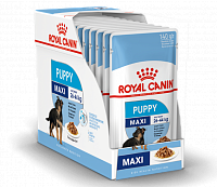 Royal Canin Maxi Puppy консервы для щенков крупных пород c 2 до 15 месяцев (пауч)